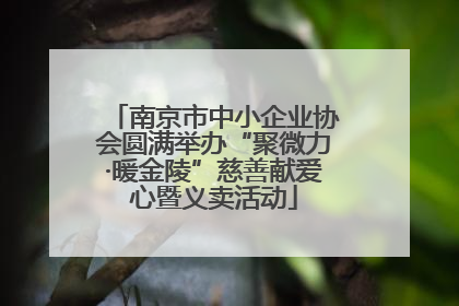 南京市中小企业协会圆满举办“聚微力·暖金陵”慈善献爱心暨义卖活动