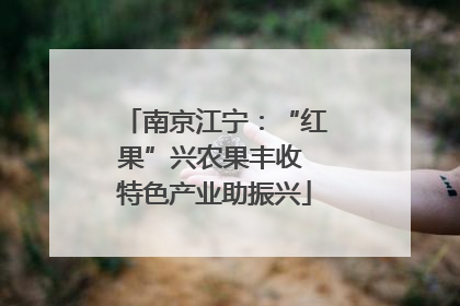 南京江宁：“红果”兴农果丰收 特色产业助振兴