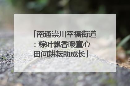 南通崇川幸福街道：粽叶飘香暖童心 田间耕耘助成长