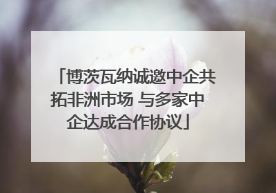 博茨瓦纳诚邀中企共拓非洲市场 与多家中企达成合作协议