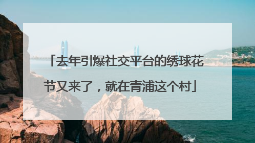 去年引爆社交平台的绣球花节又来了，就在青浦这个村