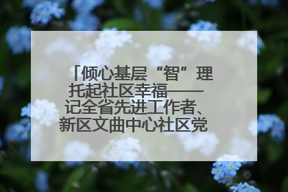 倾心基层“智”理 托起社区幸福——记全省先进工作者、新区文曲中心社区党委书记董世弘
