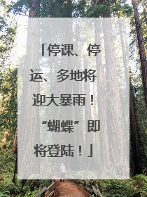 停课、停运、多地将迎大暴雨！“蝴蝶”即将登陆！