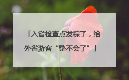 入省检查点发粽子，给外省游客“整不会了”
