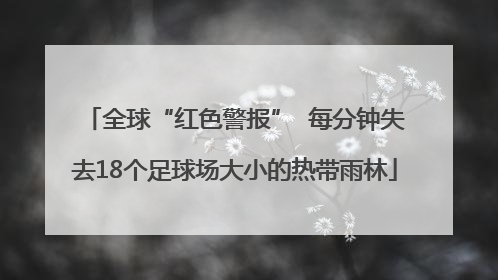 全球“红色警报”  每分钟失去18个足球场大小的热带雨林
