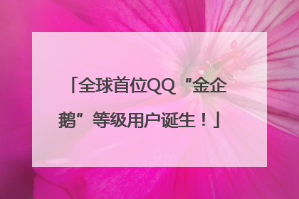 全球首位QQ“金企鹅”等级用户诞生！