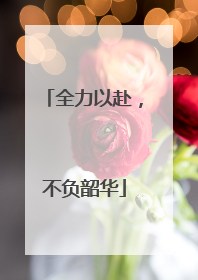 全力以赴，不负韶华
