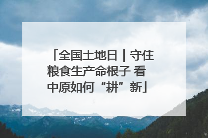 全国土地日｜守住粮食生产命根子 看中原如何“耕”新