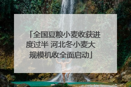 全国夏粮小麦收获进度过半 河北冬小麦大规模机收全面启动
