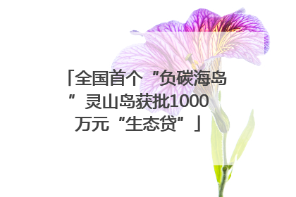 全国首个“负碳海岛”灵山岛获批1000万元“生态贷”