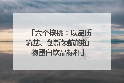 六个核桃：以品质筑基、创新领航的植物蛋白饮品标杆