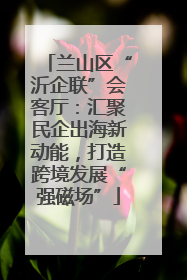 兰山区“沂企联”会客厅：汇聚民企出海新动能，打造跨境发展“强磁场”