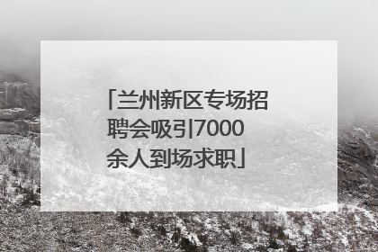 兰州新区专场招聘会吸引7000余人到场求职