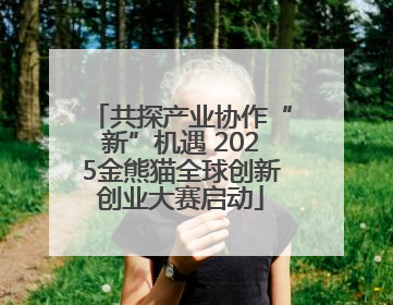 共探产业协作“新”机遇 2025金熊猫全球创新创业大赛启动