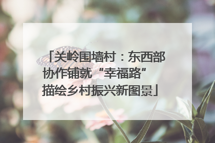 关岭围墙村：东西部协作铺就“幸福路” 描绘乡村振兴新图景