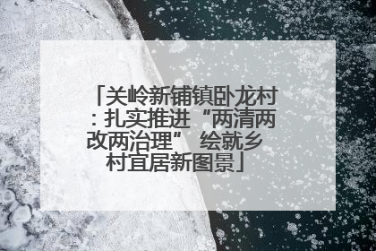 关岭新铺镇卧龙村：扎实推进“两清两改两治理” 绘就乡村宜居新图景