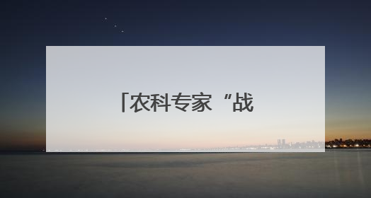 农科专家“战高温” 菇棚送来“清凉策”