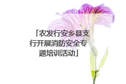 农发行安乡县支行开展消防安全专题培训活动