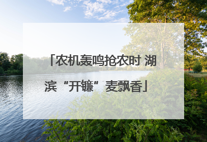 农机轰鸣抢农时 湖滨“开镰”麦飘香