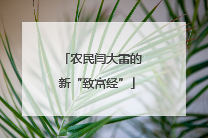 农民闫大雷的新“致富经”