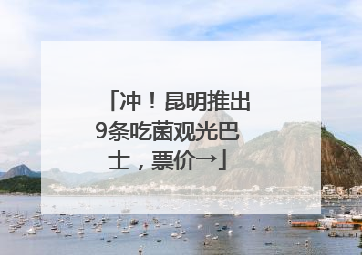 冲！昆明推出9条吃菌观光巴士，票价→