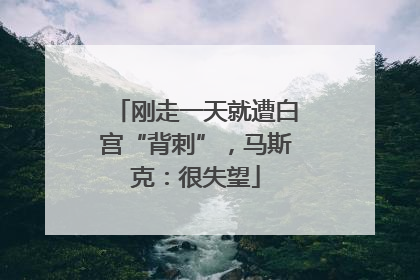 刚走一天就遭白宫“背刺”，马斯克：很失望