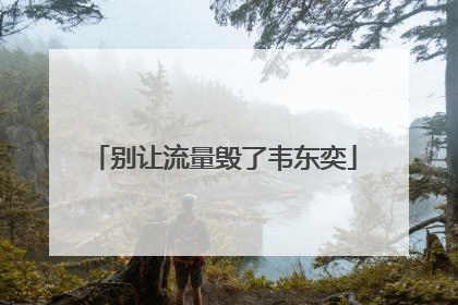 别让流量毁了韦东奕