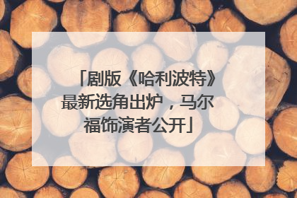 剧版《哈利波特》最新选角出炉，马尔福饰演者公开