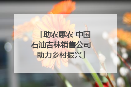 助农惠农 中国石油吉林销售公司助力乡村振兴