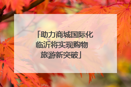 助力商城国际化 临沂将实现购物旅游新突破