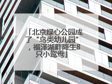 北京绿心公园成了“鸟类幼儿园”，福泽湖畔降生8只小鸳鸯