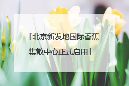 北京新发地国际香蕉集散中心正式启用