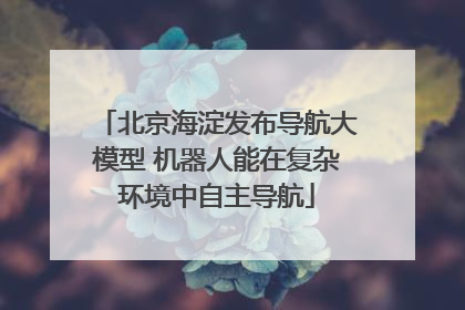北京海淀发布导航大模型 机器人能在复杂环境中自主导航