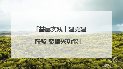 基层实践丨建党建联盟 聚振兴功能