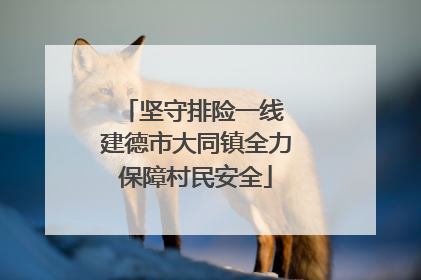 坚守排险一线 建德市大同镇全力保障村民安全