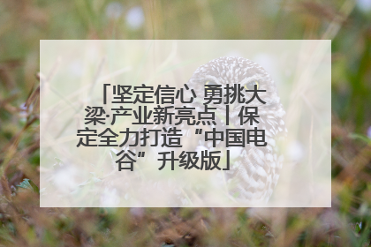坚定信心 勇挑大梁·产业新亮点丨保定全力打造“中国电谷”升级版