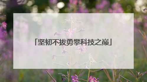 坚韧不拔勇攀科技之巅