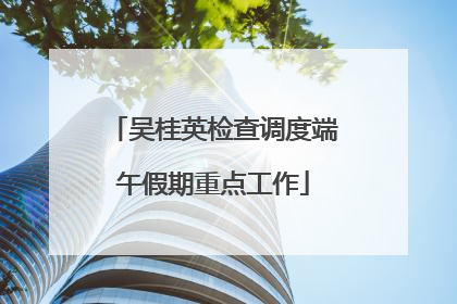 吴桂英检查调度端午假期重点工作