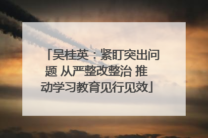 吴桂英：紧盯突出问题 从严整改整治 推动学习教育见行见效
