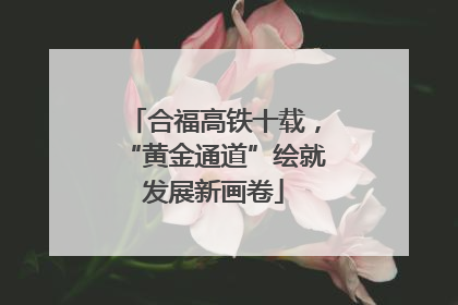 合福高铁十载，“黄金通道”绘就发展新画卷