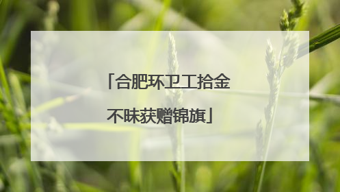 合肥环卫工拾金不昧获赠锦旗