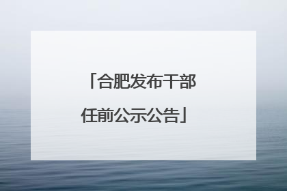 合肥发布干部任前公示公告