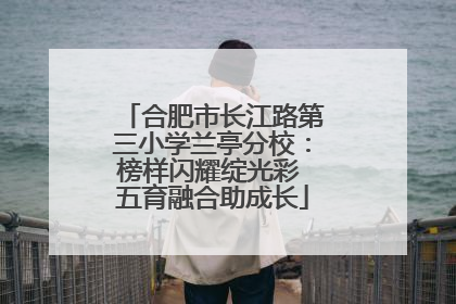 合肥市长江路第三小学兰亭分校：榜样闪耀绽光彩 五育融合助成长