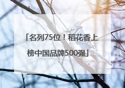 名列75位！稻花香上榜中国品牌500强