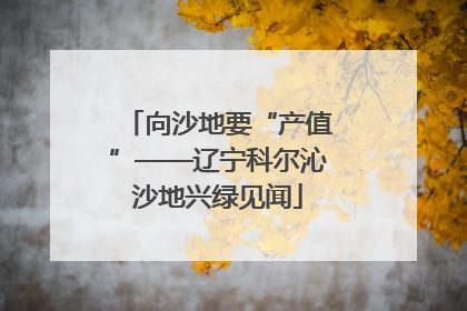 向沙地要“产值”——辽宁科尔沁沙地兴绿见闻