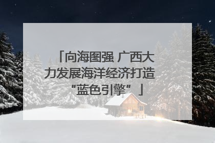向海图强 广西大力发展海洋经济打造“蓝色引擎”