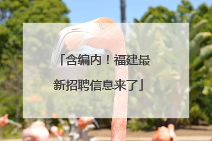 含编内！福建最新招聘信息来了