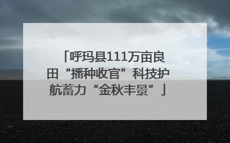 呼玛县111万亩良田“播种收官”科技护航蓄力“金秋丰景”