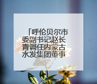 呼伦贝尔市委副书记赵长青调任内蒙古水发集团董事长