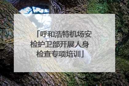 呼和浩特机场安检护卫部开展人身检查专项培训